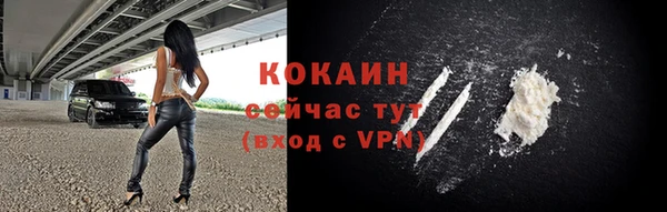 прущие грибы Карпинск