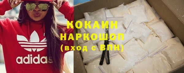 прущие грибы Карпинск