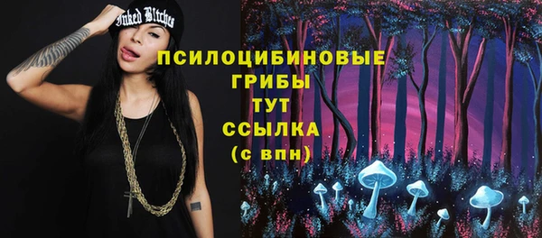 крисы Касимов