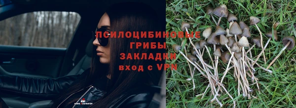 спиды Карталы