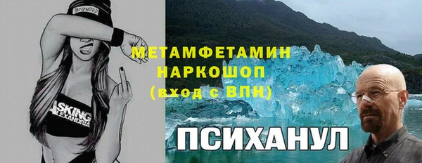 крисы Касимов