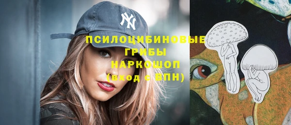 крисы Касимов