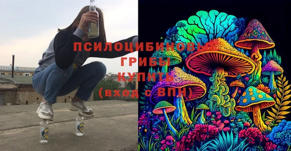 спиды Карталы