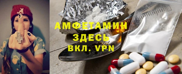 прущие грибы Карпинск
