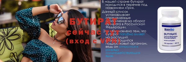 прущие грибы Карпинск