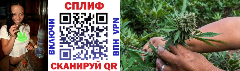 Конопля план  Купить закладки  Ангарск 